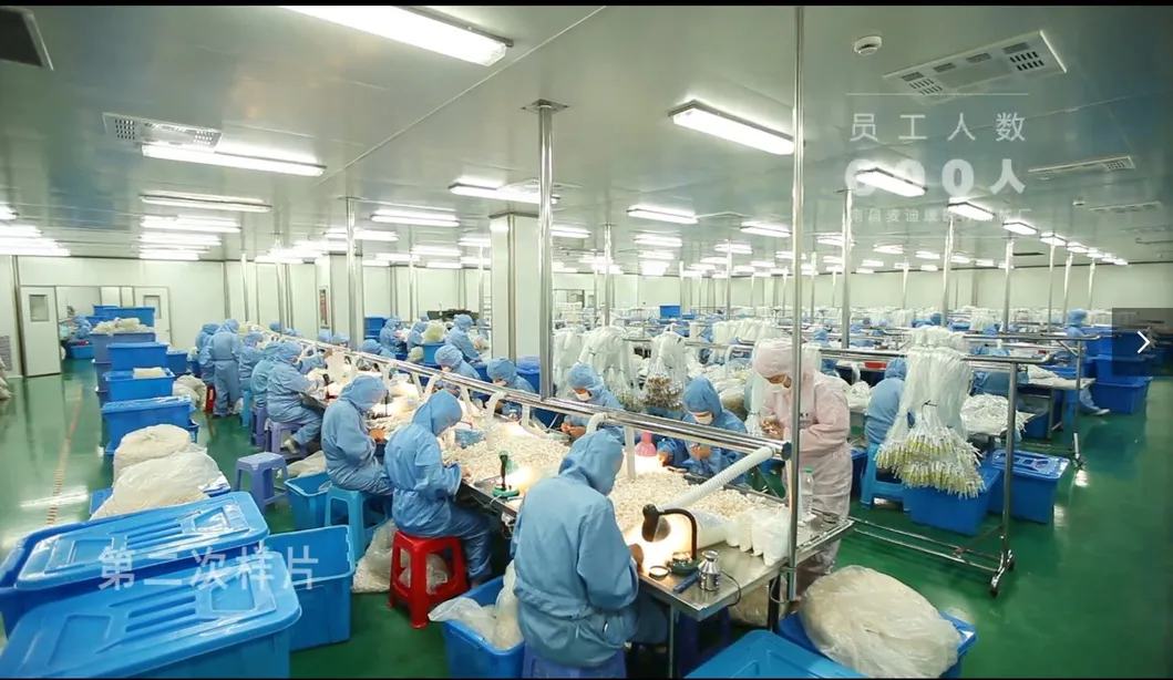 China Products/Suppliers. FFP2 Face Mask, Dust Protective Respirator, with European Union CE Certification According to En 149: 2001 +A1: 2009