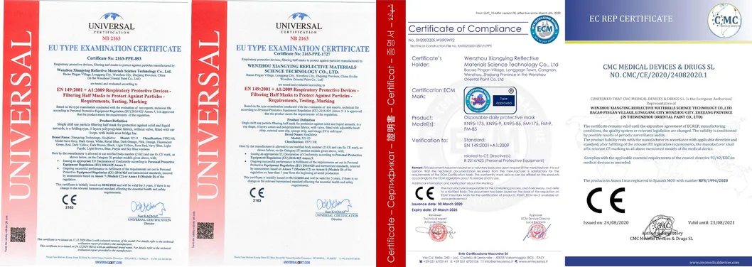 En149: 2001+A1: 2009 FFP2 Nr Standard Disposable Protective Face Mask Fashion Color Meltblown Dust Filter Masque